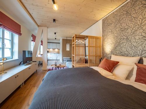 1 dormitorio con 1 cama grande y TV en Alte Bäckerei Königstein Aparthotel und Café en Königstein an der Elbe