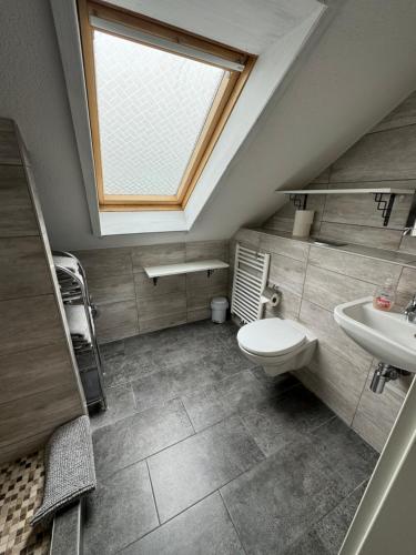 a bathroom with a toilet and a sink and a window at SUNSHINE Apartments Rust-Ringsheim in Ringsheim