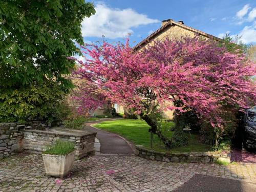 a tree with pink flowers in front of a house at Duplex « Les pieds dans l’eau » in Nernier