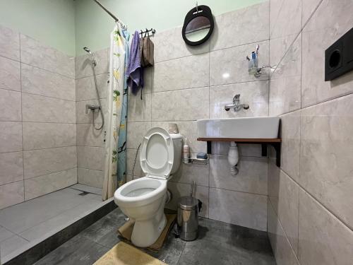 a bathroom with a toilet and a sink at Fox Fort Hostel in Almaty