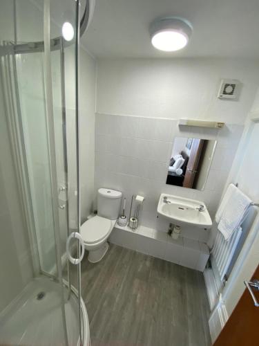 a bathroom with a toilet and a sink and a shower at Farina No4, Sea view apartment sleeping 4 guests in Bridlington