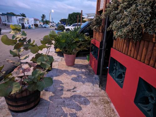 a sidewalk with potted plants on the side of a street at Moon’s Place in Toa Baja