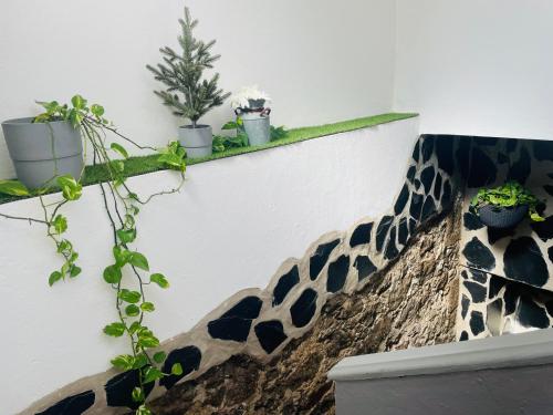 a fake giraffe on a wall with plants at CASA ISABEL CENTRO Histórico in Arucas
