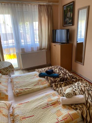 a bedroom with two beds and a television and windows at Károly Vendégház in Hévíz