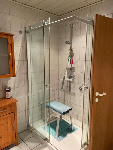 um chuveiro com um assento azul na casa de banho em Ferienwohnung DOMiziel für 1 bis 4 Personen im Grünen em Hamm