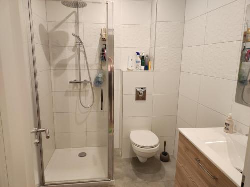 a bathroom with a shower and a toilet and a sink at Chez Dori Chambre privée in Bischheim