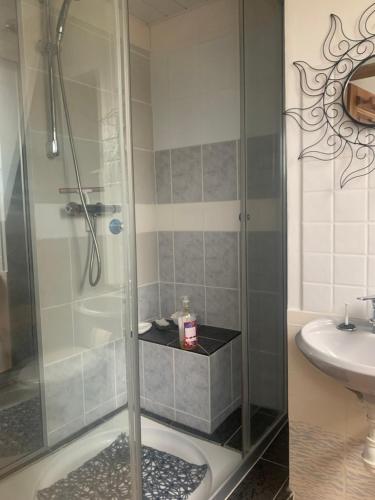 une salle de bain avec douche et lavabo dans l'établissement GITE Au Dessus des Pâquerettes, à Janville