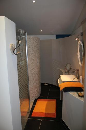 uma casa de banho com um chuveiro e um lavatório. em LA FEE VIVIANE em Villerest