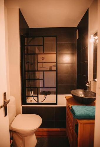 une salle de bain avec toilettes et lavabo dans l'établissement Soirée cinéma quartier Mouillère, à Besançon