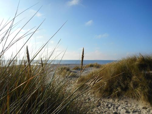 a view of a sandy beach with tall grass at Haus-Seeschwalbe in Nieblum