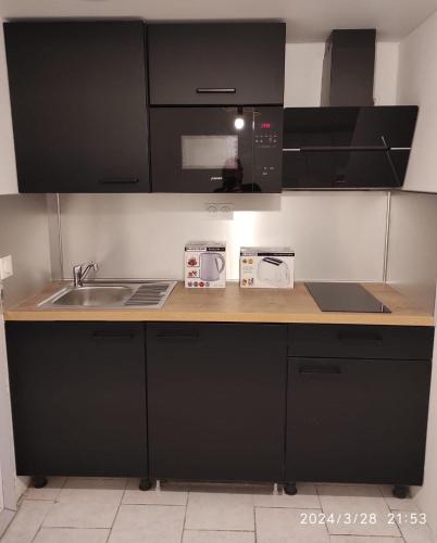 a kitchen with black cabinets and a sink at Studio Paris in Paris