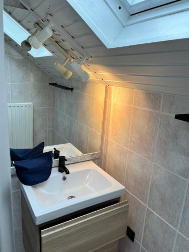 y baño con lavabo y espejo. en Beach Bungalow Green, en Middelkerke