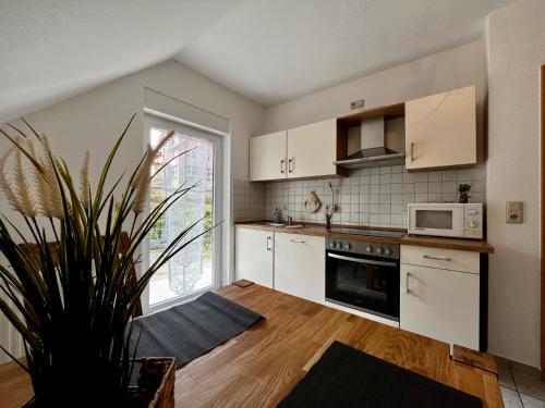 een keuken met witte kasten en een potplant bij JS Feriendomizile: Fewo Hirschwechsel in Wernigerode