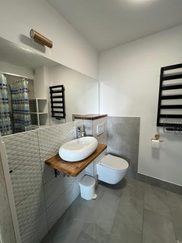 ein Bad mit einem Waschbecken und einem WC in der Unterkunft STARA KAMIENICA in Reszel