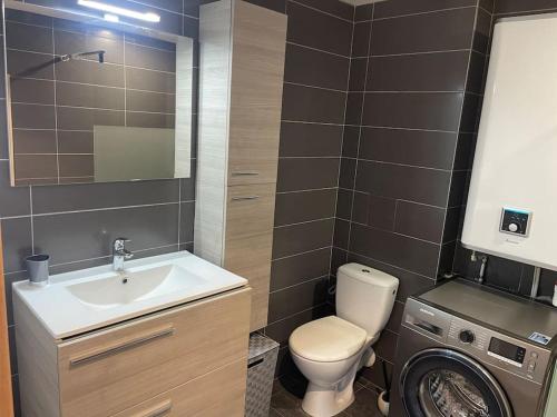 une salle de bain avec toilettes, lavabo et miroir dans l'établissement Location Studio Meublé Terrasse, à Porto-Vecchio