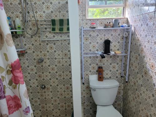 a bathroom with a toilet and a shower at Tim's & Mag's Home Stay in Roseau