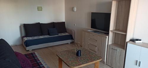 a living room with a bed and a flat screen tv at Rapunselė in Mažeikiai