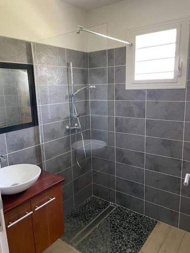 a bathroom with a shower and a sink at Villa Fusains in Baie-Mahault