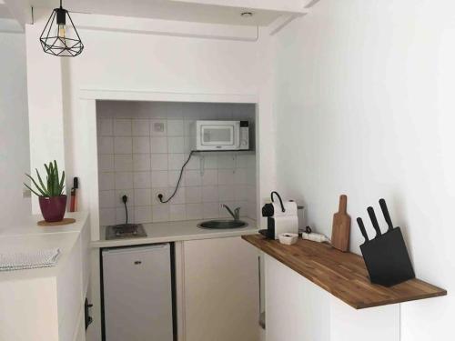 een keuken met een aanrecht met een magnetron bij Studio independant dans maison basque in Bassussarry