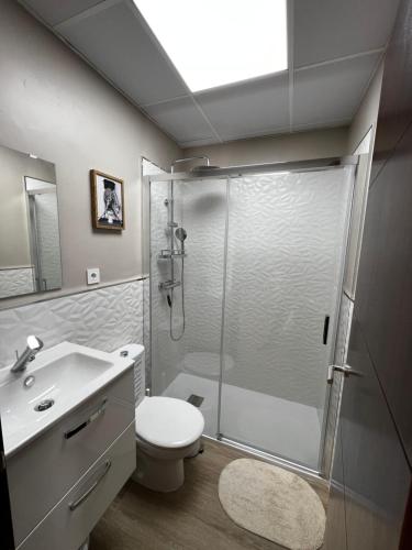 a bathroom with a shower and a toilet and a sink at M&M Empedrada Apartamentos Jerez in Jerez de la Frontera