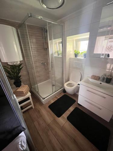 a bathroom with a shower and a toilet and a sink at LiLan apartment in Maribor