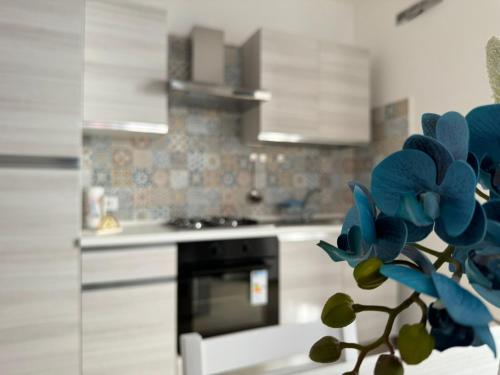 een keuken met een fornuis en een blauwe bloem bij Za Nedda Home in Fiumefreddo di Sicilia