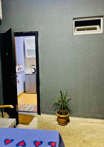 a room with a green wall and a table with a plant at Anna'S Home in Kutaisi