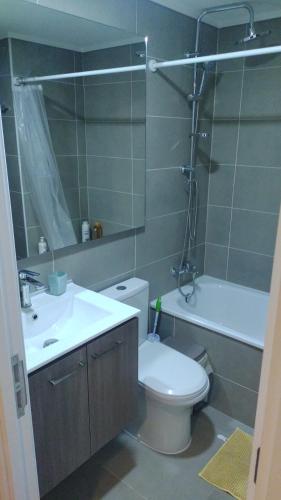 a bathroom with a toilet and a sink and a mirror at Apartamento La Florida Mirador Oriente in Santiago