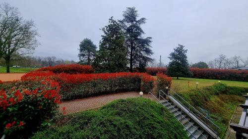 a garden with red flowers in a park at Hotel Villa Delle Rose - Malpensa in Oleggio