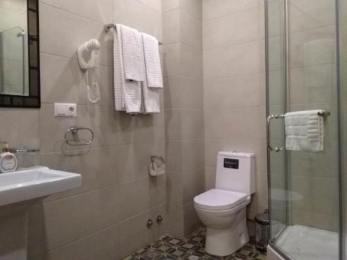 a bathroom with a toilet and a sink and a shower at Eleon Boutique Hotel in Tbilisi City