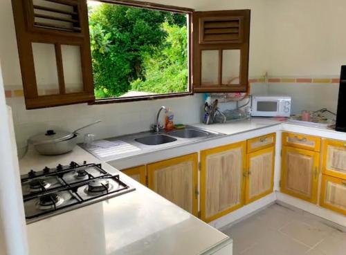 uma cozinha com um lavatório, um fogão e uma janela em Appartement à Didier em Fort-de-France