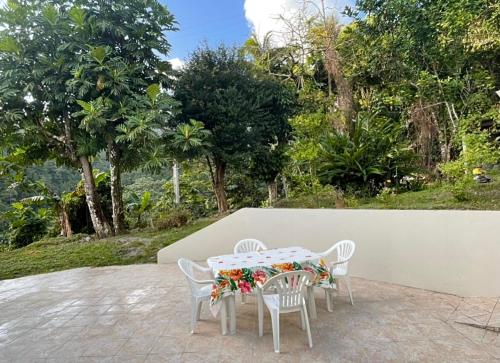 uma mesa e cadeiras com flores num pátio em Appartement à Didier em Fort-de-France