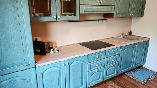 Kuchyň nebo kuchyňský kout v ubytování FabysHouse Appartamento in Villa