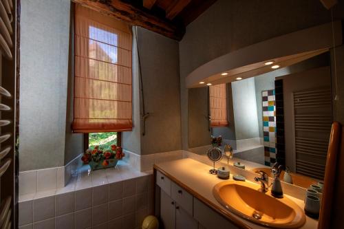 uma casa de banho com um lavatório e um espelho grande em Chambre d'Hôtes et gites du Tapissier em Polignac