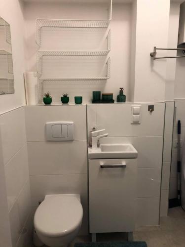 a white bathroom with a toilet and a sink at Sowinski Apartament in Lublin