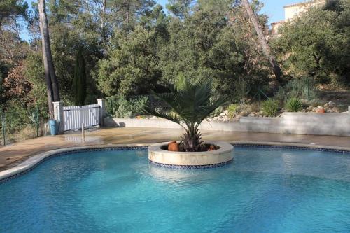 ein Schwimmbad mit einer Palme in der Mitte in der Unterkunft Villa Coronille calme et nature in Entrecasteaux