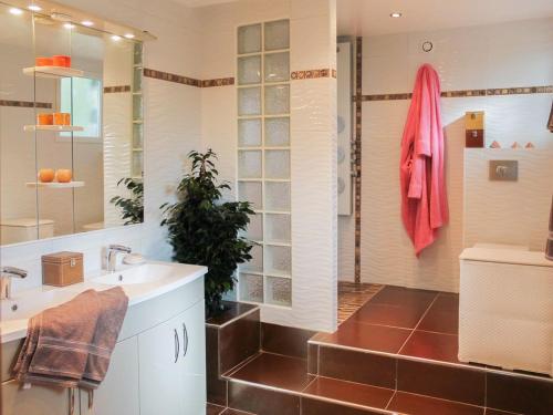 ein Bad mit einem Waschbecken und einer Dusche in der Unterkunft Villa Coronille calme et nature in Entrecasteaux