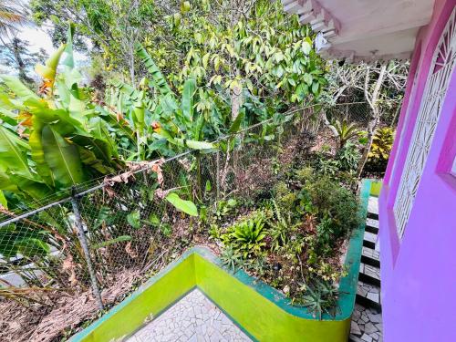 a garden on the side of a house at Nine Miles Cultural Hangouts and Tours in Stepney