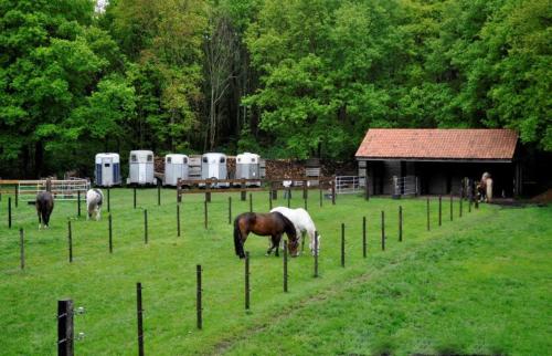 Gallery image of B&B De Edelsteen in Zutendaal