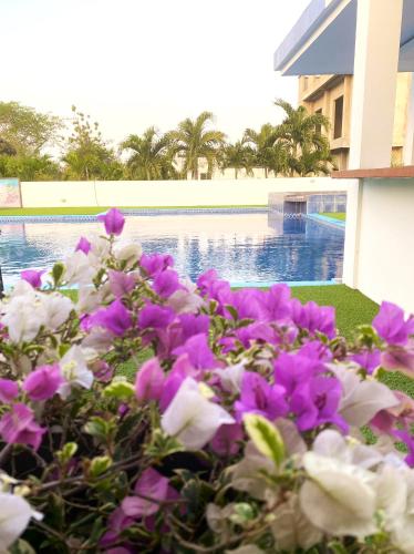 a bunch of purple and white flowers next to a swimming pool at Hotel Boutique Chateau de la Mar in Juan de Acosta