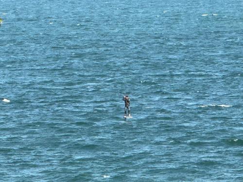 a person standing on a surfboard in the water at Geelong Beach Q House in North Shore