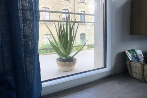 Gambar di galeri bagi Appartement, confort, parking, terrasse di Dinan