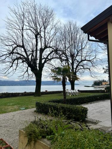 two trees in a park next to the water at Appartamento LAGO in Toscolano Maderno