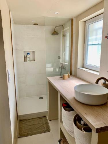 uma casa de banho branca com um lavatório e um chuveiro em Maisonnette proche de Chambord em Mont-près-Chambord
