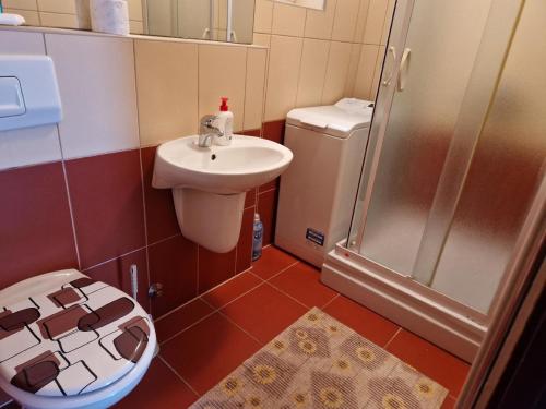 ein Bad mit einem WC, einem Waschbecken und einer Dusche in der Unterkunft Ferienhaus in Klenovica mit Garten, gemeinsamem Pool und Terrasse und Panoramablick in Klenovica