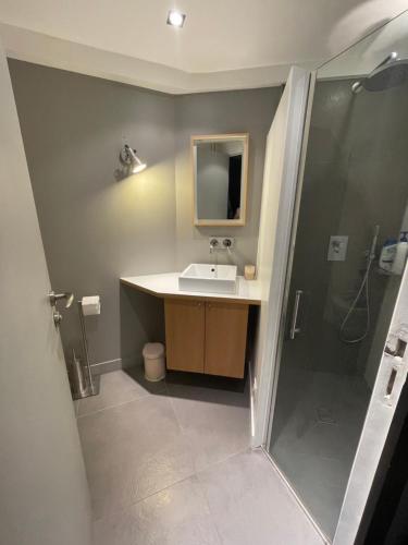 a bathroom with a sink and a shower at BB 2 chambres en maison 15 minutes centre de Paris in Asnières-sur-Seine