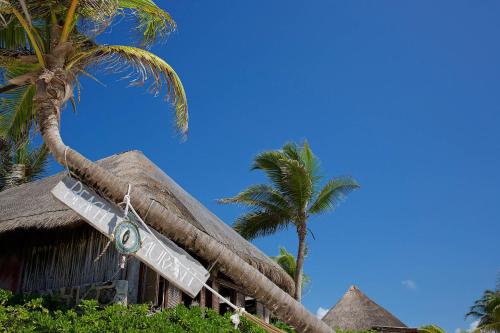 Φωτογραφία από το άλμπουμ του Punta Piedra Beach Posada σε Tulum