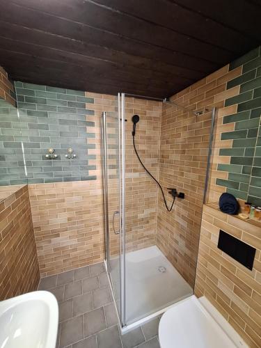 a bathroom with a shower with a toilet and a sink at Lou-krówka in Taszów