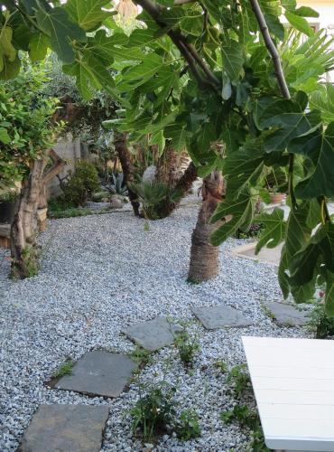 a garden with a tree and some rocks at Idria B&B in Barcellona-Pozzo di Gotto