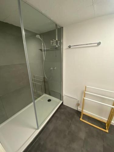 a bathroom with a shower with a glass door at Gästehaus Brunswiek Studio in Vordorf